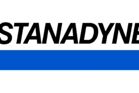 logo stanadynee